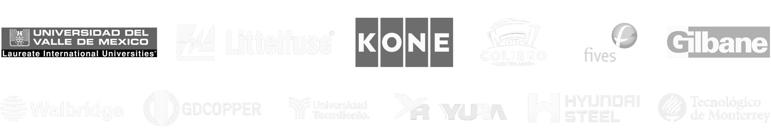 Nuestros Clientes GINN