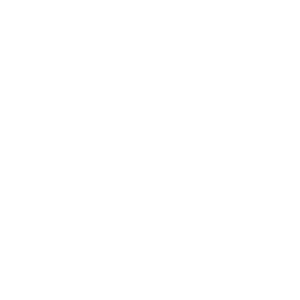 Visitas a los parques industriales